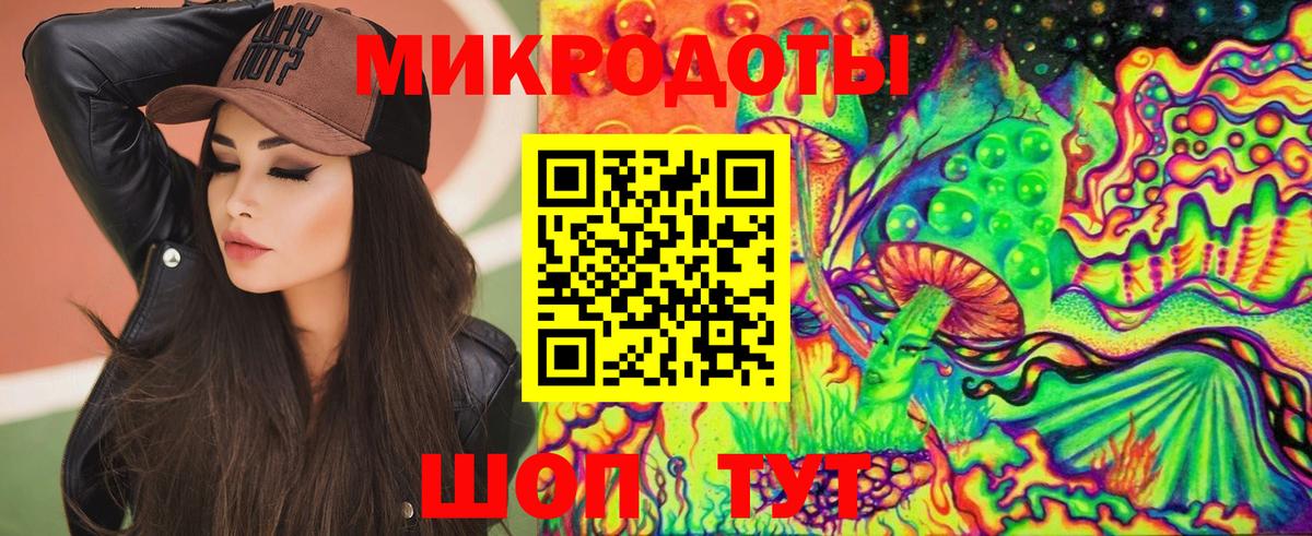 Галлюциногенные грибы Psilocybine cubensis Советск
