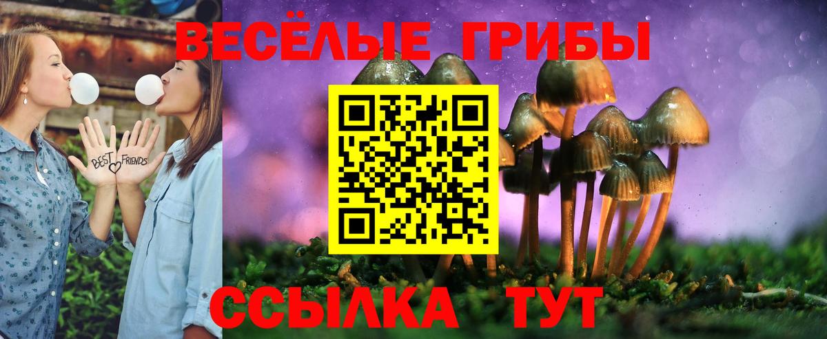 Псилоцибиновые грибы Cubensis  Вход с VPN  Советск 