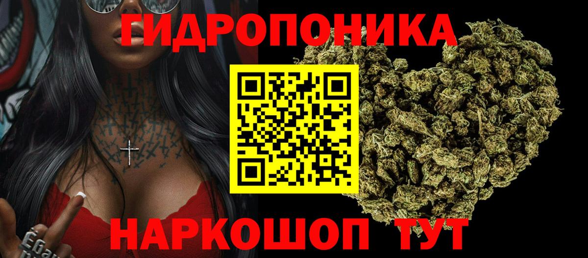 Каннабис ГИДРОПОН Советск
